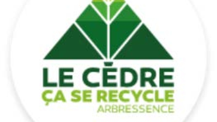 Recycler des retailles de cèdres c'est possible! Découvrez l'entreprise Arbressence Inc.!