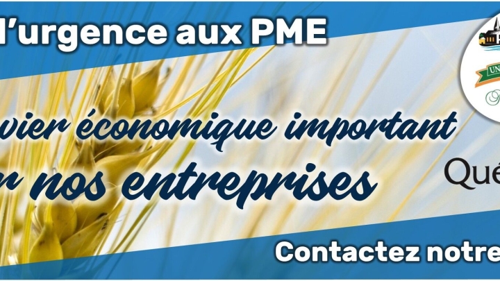 Aide d'urgence aux petites et moyennes entreprises et Cellule PME 911