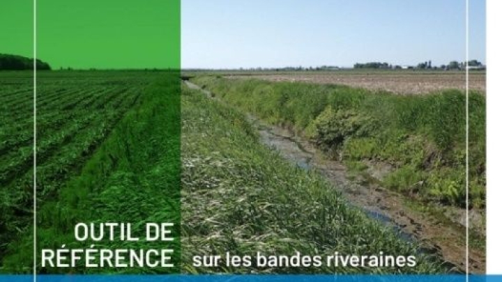 Bandes riveraines en milieu agricole - Nouvel outil de référence pour les producteurs de la MRC de Nicolet-Yamaska