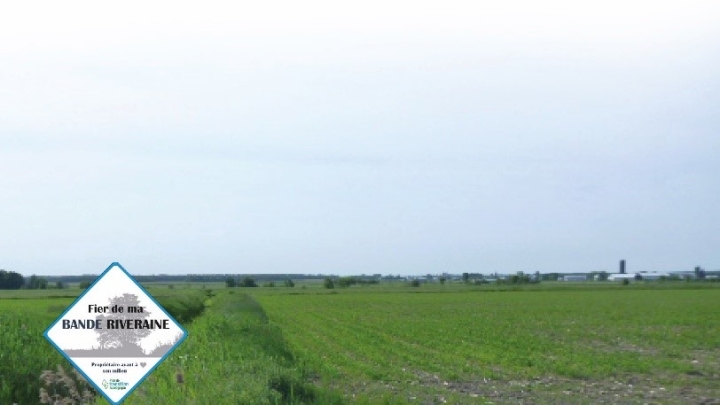 La protection des bandes riveraines est une priorité pour la MRC de Nicolet-Yamaska