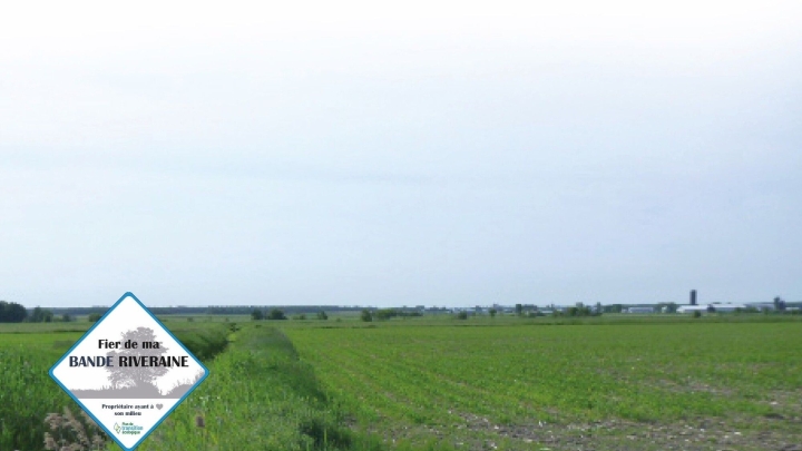 Les bandes riveraines toujours une priorité dans la MRC de Nicolet-Yamaska