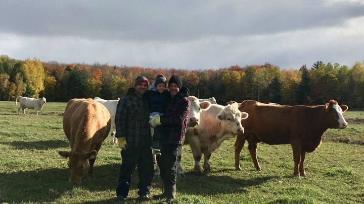 Nouvelle économique Grâce au Fonds d'investissement agroalimentaire Nicolet-Yamaska (FIANY) La Ferme du Vallon de Saint-François-du-Lac fait l'acquisition de bétail et agrandit un abri existant