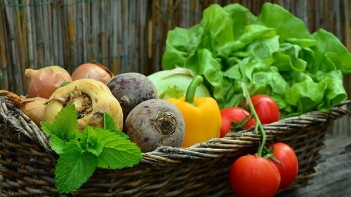 Sondage sur les habitudes d'achat des fruits et légumes par les Centricois(es)