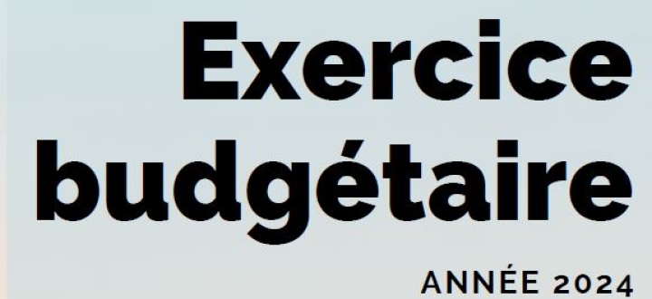 Budget 2024