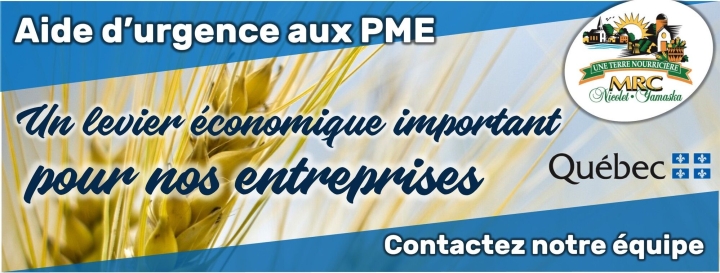 Aide d'urgence aux petites et moyennes entreprises et Cellule PME 911