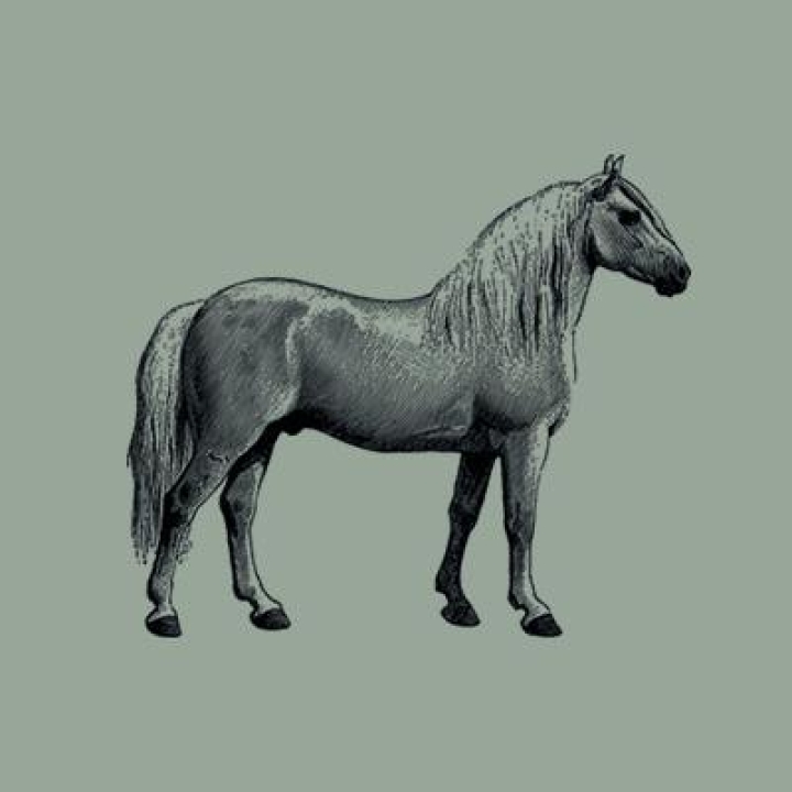 Grand Galop : Une boutique équestre ouvre ses portes à Baie-du-Febvre